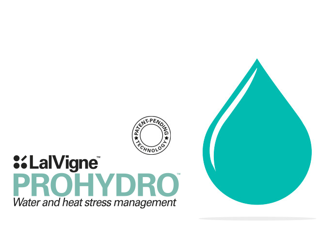 LalVigne PROHYDRO